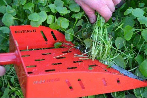 Pelle de r�colte pour salade  - gaucher